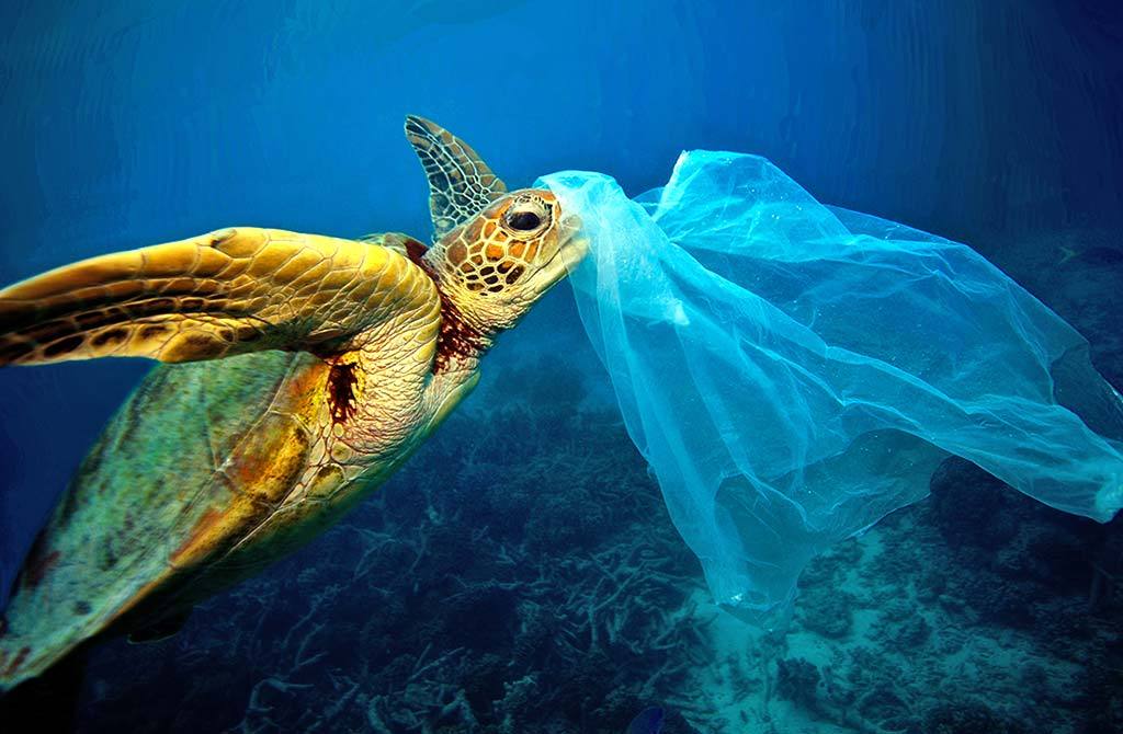 آلودگی پلاستیک در دریاها