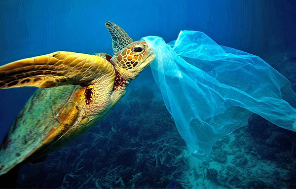 آلودگی دریا ها با پلاستیک 